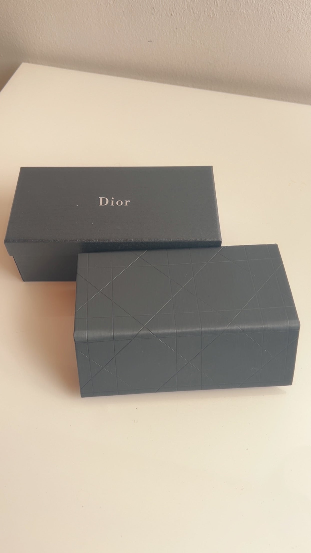 DIOR Zonnebril - Bruin